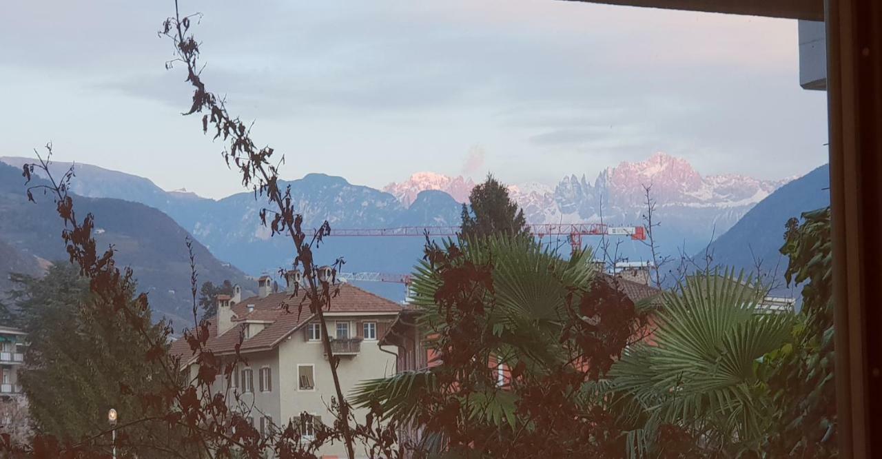 Domus Rose Rooms Bolzano Zewnętrze zdjęcie