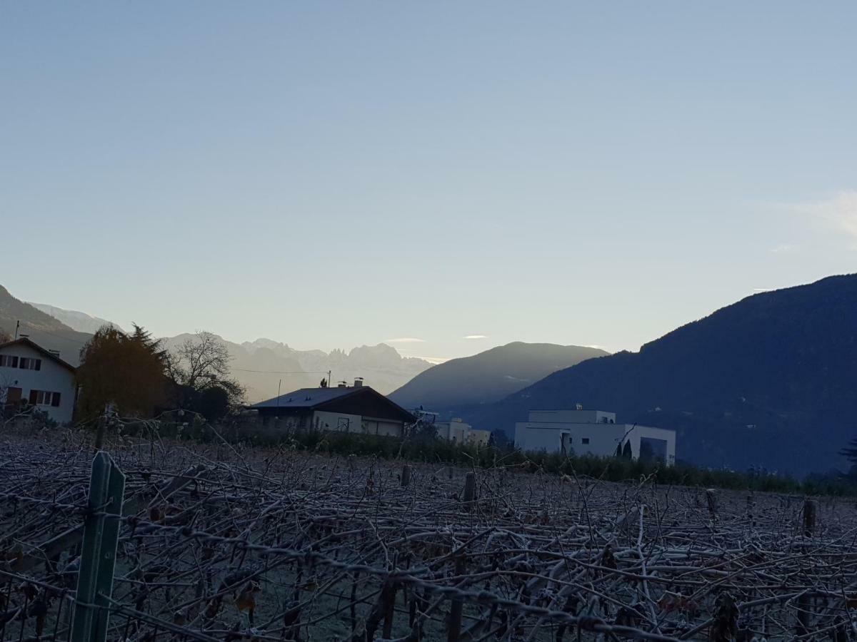 Domus Rose Rooms Bolzano Zewnętrze zdjęcie