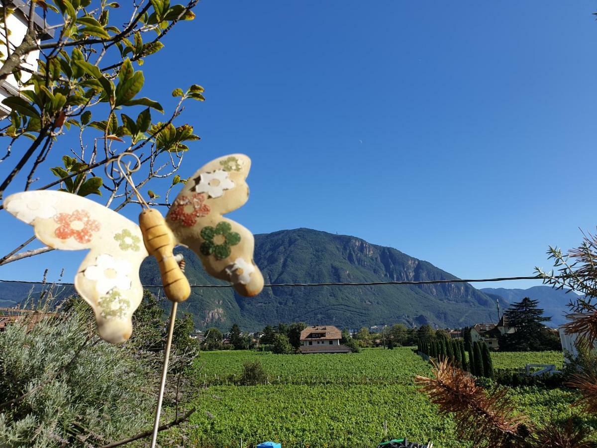 Domus Rose Rooms Bolzano Zewnętrze zdjęcie