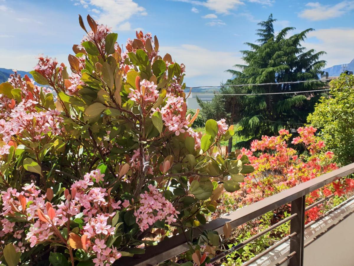 Domus Rose Rooms Bolzano Zewnętrze zdjęcie