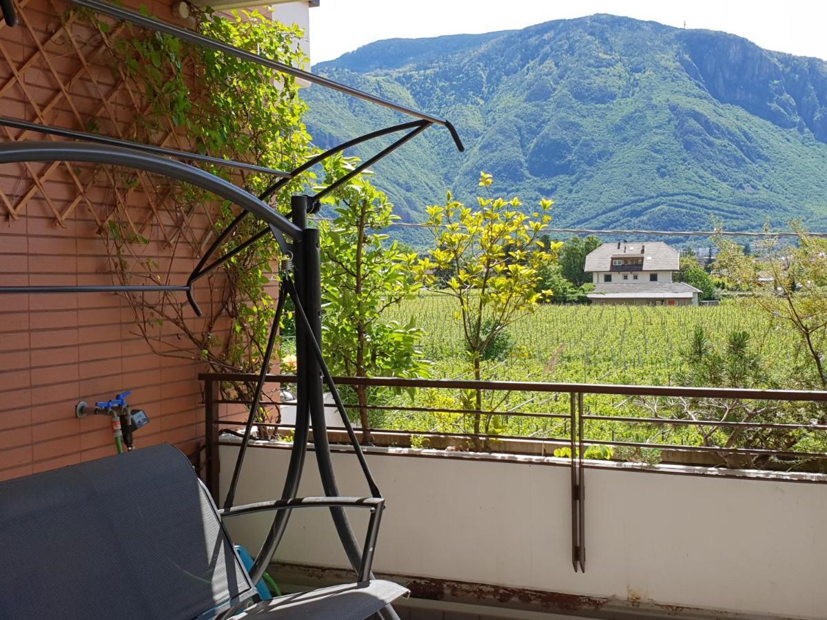 Domus Rose Rooms Bolzano Zewnętrze zdjęcie